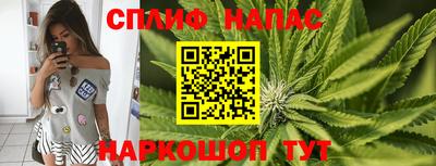 дмт Заводоуковск