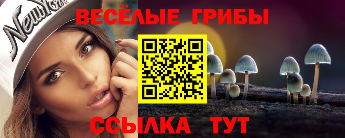 Маркс  Псилоцибиновые грибы GOLDEN TEACHER  Вход с VPN 